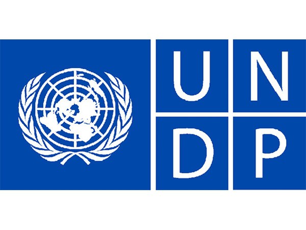 Logo UNDP