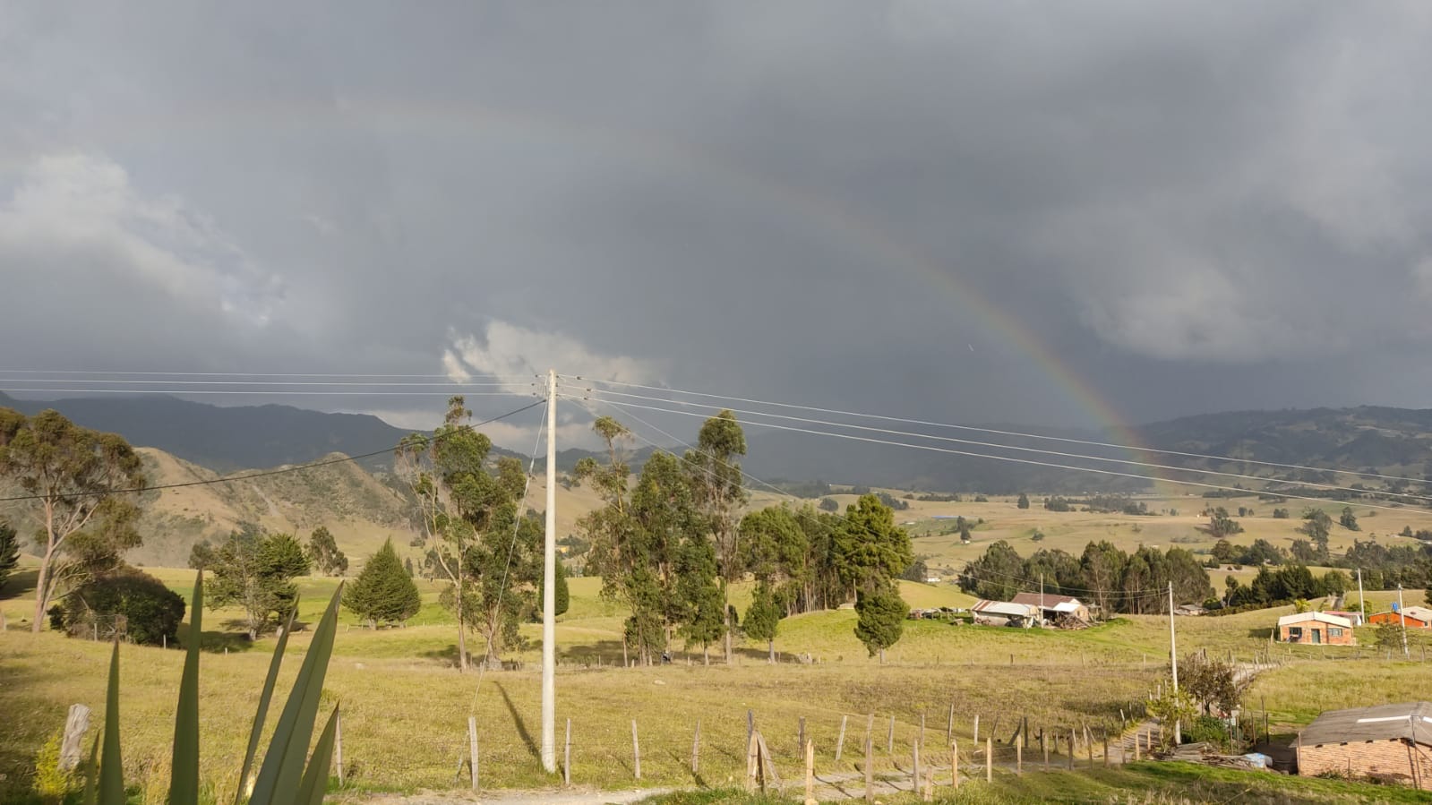 ¿Qué es la Acción Climática?